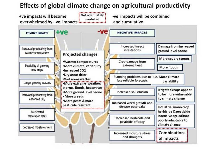 Effects of global warming. Climate change Effects. Causes and Effects of climate change. Climate variability and climate change.